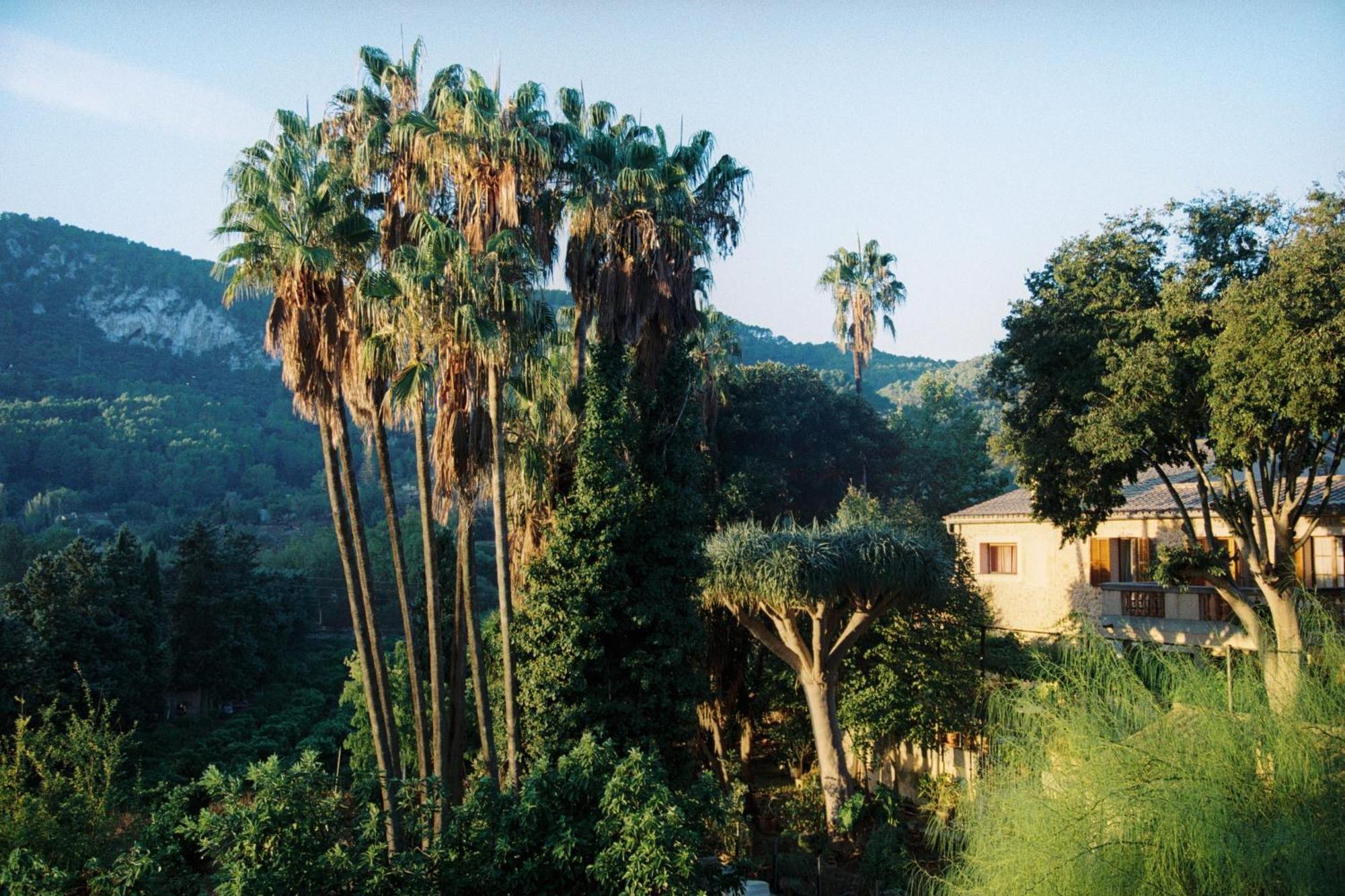 Agroturismo Son Galceran (Adults Only) Esporles Dış mekan fotoğraf